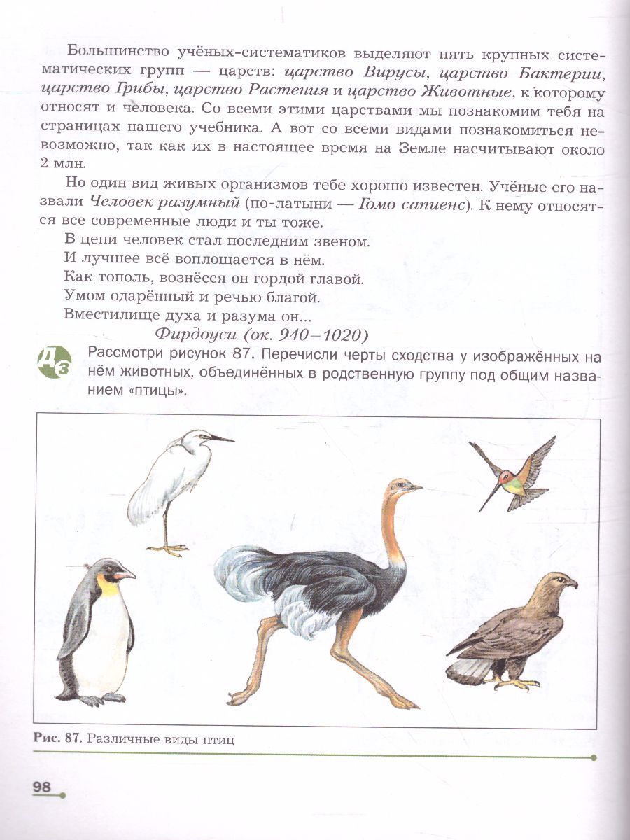 Обложка книги Биология 5-6 класс. Учебник. ФГОС, Автор Сухова Т.С. Строганов В.И., издательство Вентана-Граф | купить в книжном магазине Рослит