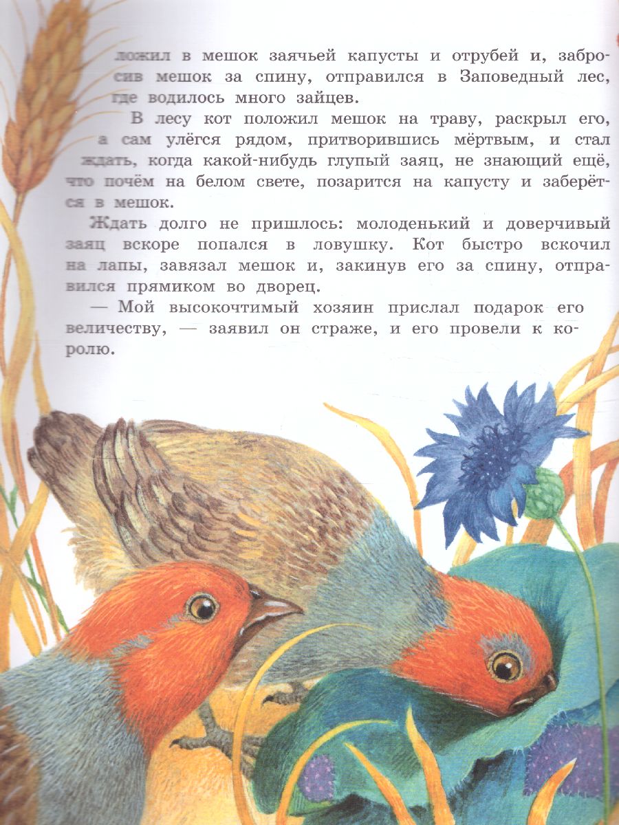 Обложка Любимые сказки (ил. К. Павловой) /Детская библиотека на все времена, издательство АСТ | купить в книжном магазине Рослит