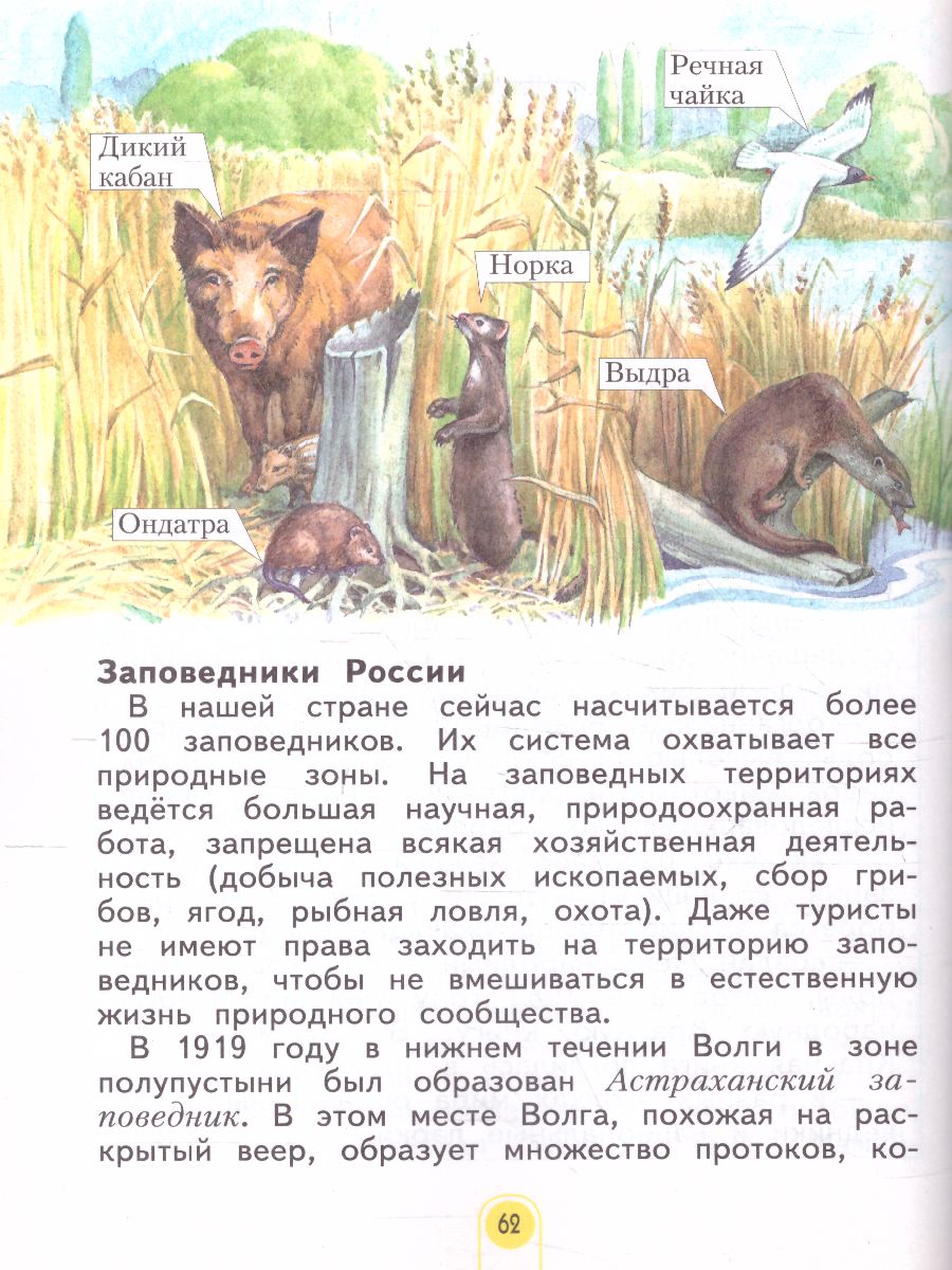 Обложка книги Дмитриева, Казаков Окружающий мир 4кл. ч.2. ФГОС (Бином), Автор Дмитриева Н.Я Казаков А.Н., издательство Просвещение/Союз                                   | купить в книжном магазине Рослит