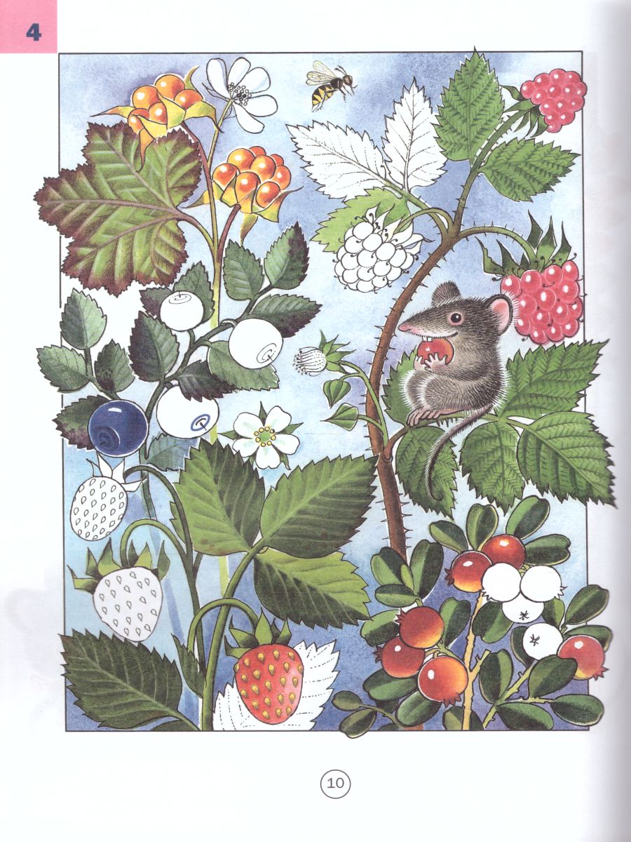 Обложка книги Безопасность. Рабочая тетрадь № 2, Автор Авдеева Н.Н., издательство ДЕТСТВО-ПРЕСС | купить в книжном магазине Рослит