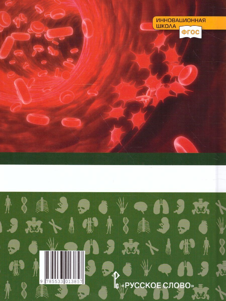 Обложка книги Биология 9 класс. Учебник, Автор Жемчугова М.Б. Романова Н.И. /Под ред. Криксунова, издательство Русское слово | купить в книжном магазине Рослит