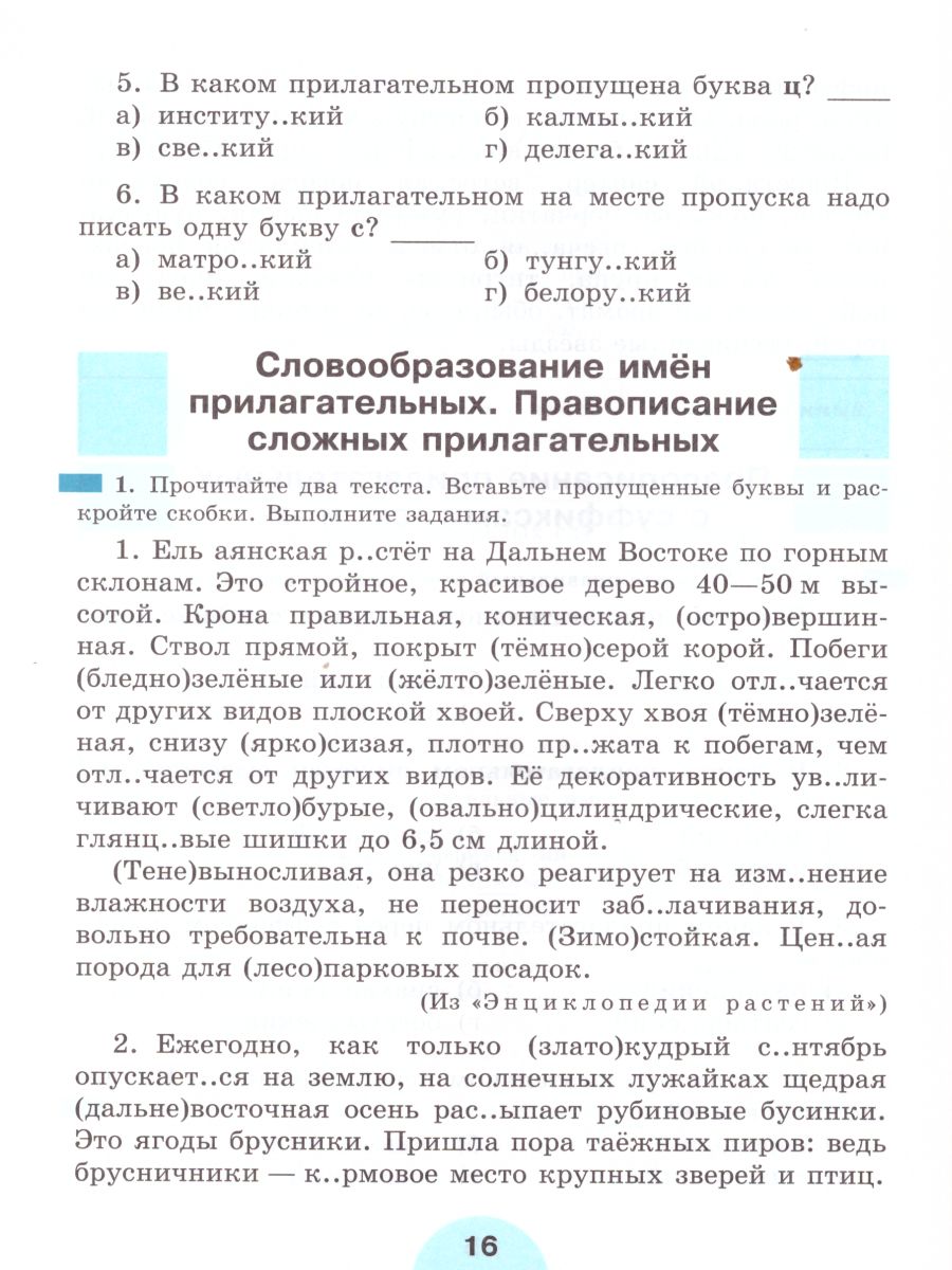 Обложка книги Русский язык 6 класс. Рабочая тетрадь. Часть 2, Автор Рыбченкова Л.М. Роговик Т.Н., издательство Просвещение | купить в книжном магазине Рослит