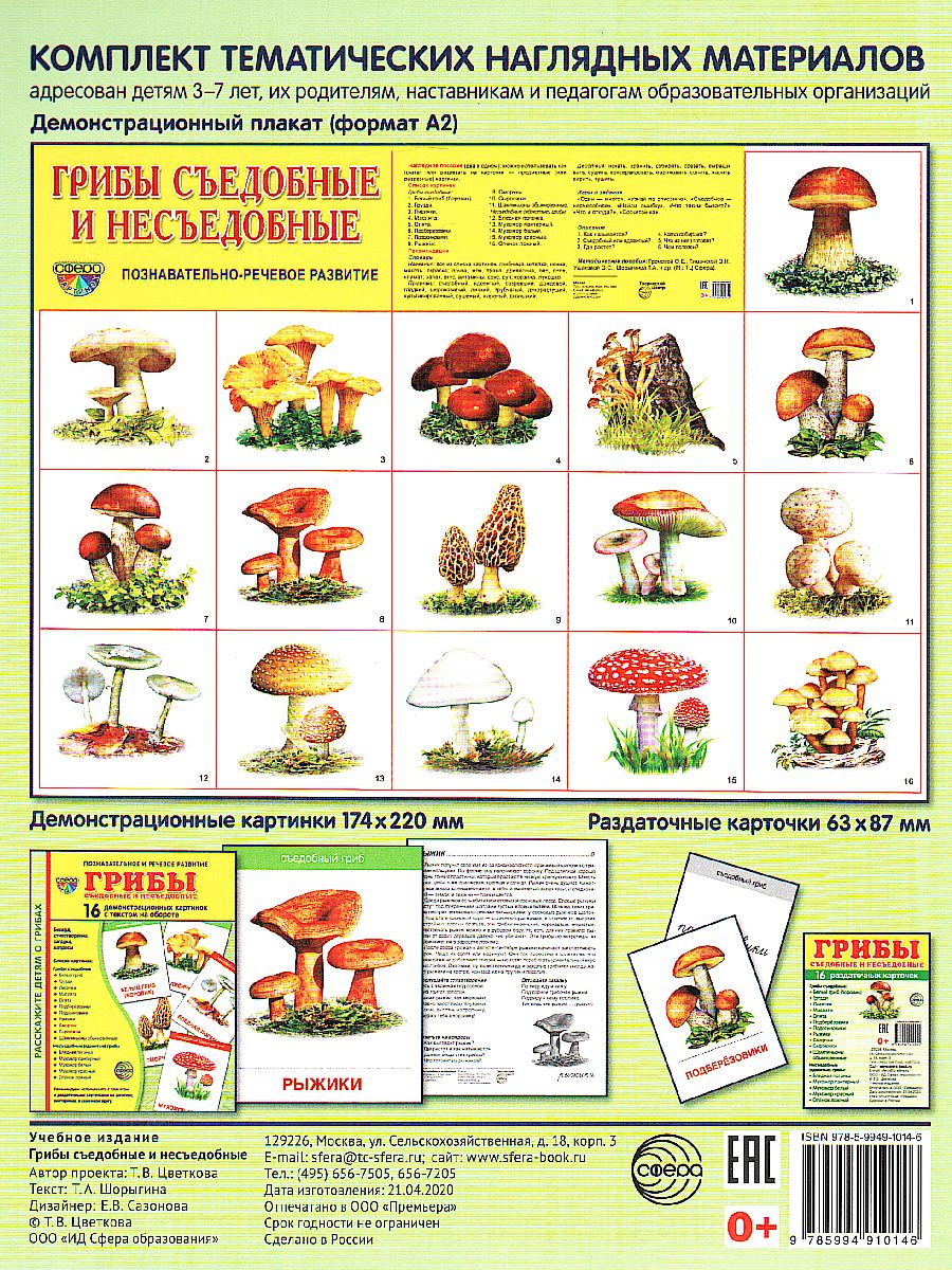 Обложка книги Демонстрационные картинки СУПЕР Грибы съедобные и несъедобные. 16 демонстрационных картинок с текстом. 173х220 мм, Автор , издательство Сфера | купить в книжном магазине Рослит
