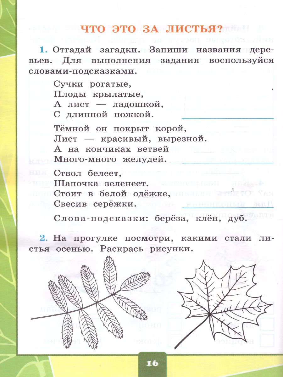 Обложка книги Окружающий мир 1 класс. Тетрадь для практических работ с дневником наблюдений. Часть 1. ФГОС НОВЫЙ, Автор Тихомирова Е.М., издательство Экзамен | купить в книжном магазине Рослит