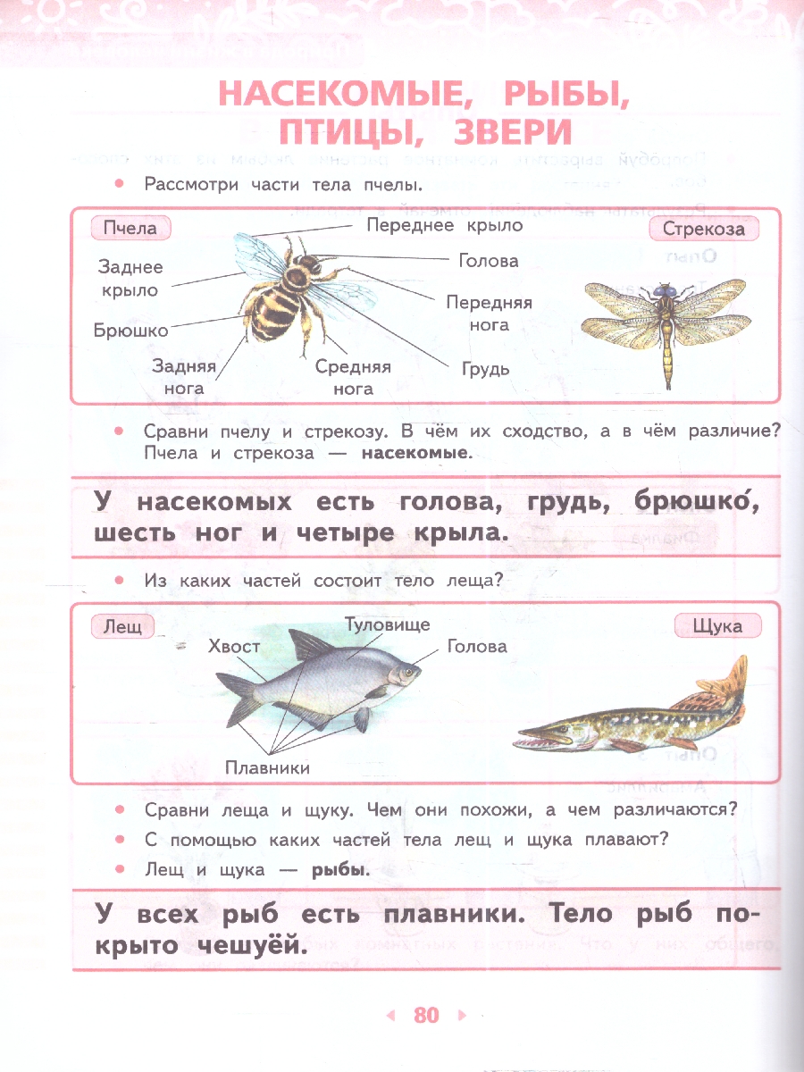 Обложка книги Окружающий мир 1 класс. Учебное пособие, Автор Ивченкова Г. Г. Потапов И.В., издательство Просвещение/Союз                                   | купить в книжном магазине Рослит