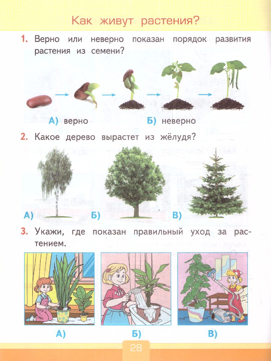 Обложка книги Окружающий мир 1 класс. Тесты. ФГОС, Автор Тихомирова Е.М., издательство Экзамен | купить в книжном магазине Рослит