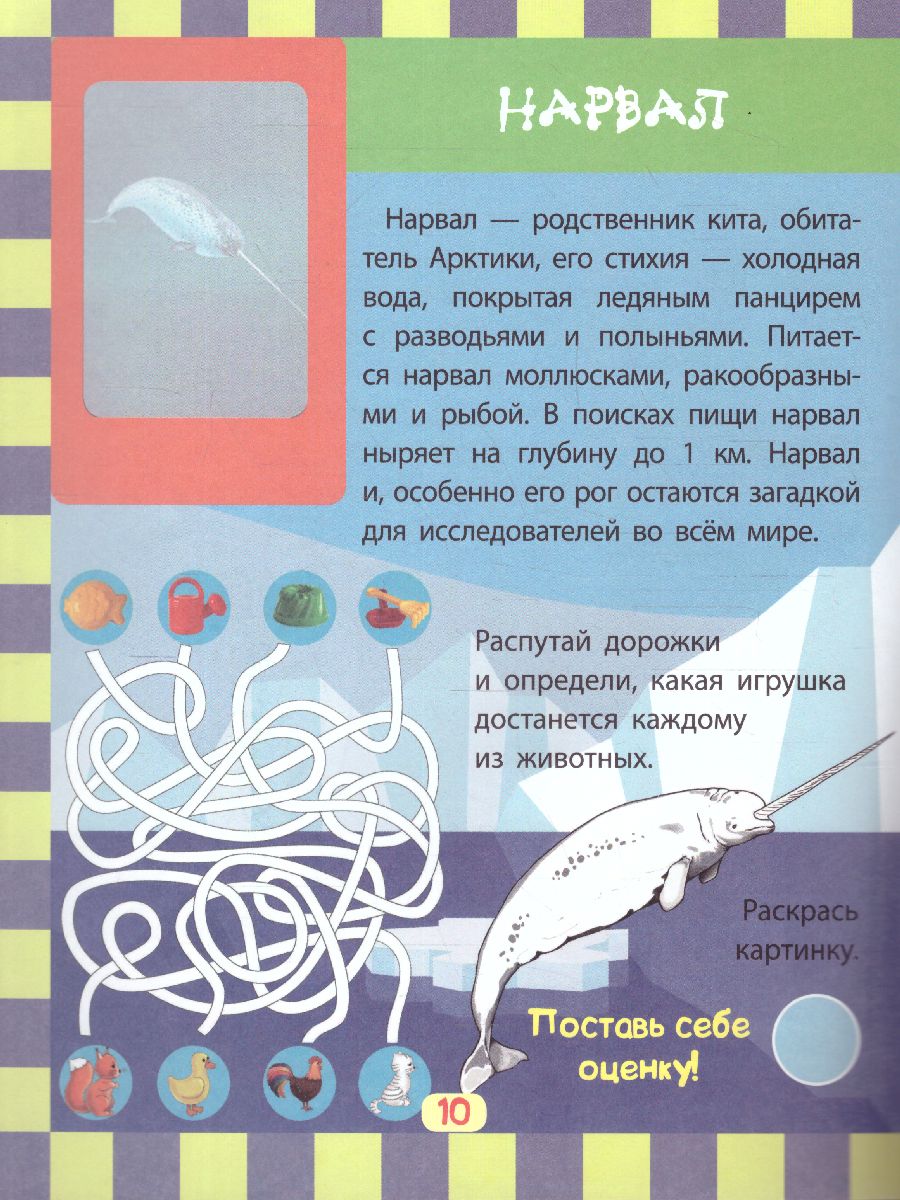 Обложка книги Обитатели снегов. Сборник развивающих заданий с наклейками, Автор Литвиненко Н., издательство Учитель | купить в книжном магазине Рослит