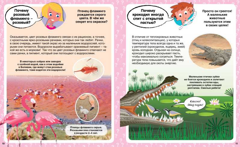 Обложка Почему? 100 вопросов и ответов в картинках, издательство Махаон | купить в книжном магазине Рослит