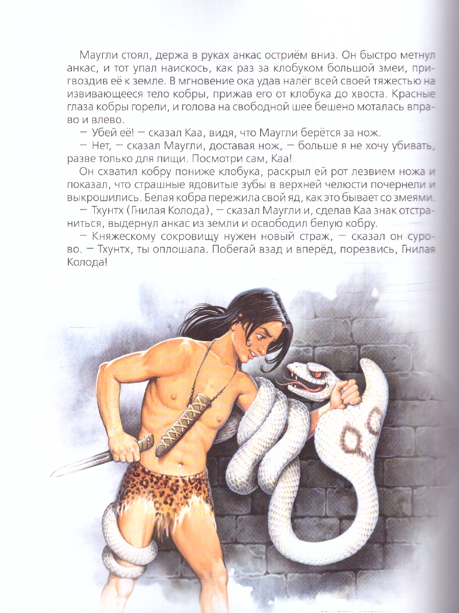 Обложка книги Киплинг Р. Маугли (Любимые детские писатели)/Любимые детские писатели(Росмэн), Автор Киплинг Р., издательство РОСМЭН | купить в книжном магазине Рослит