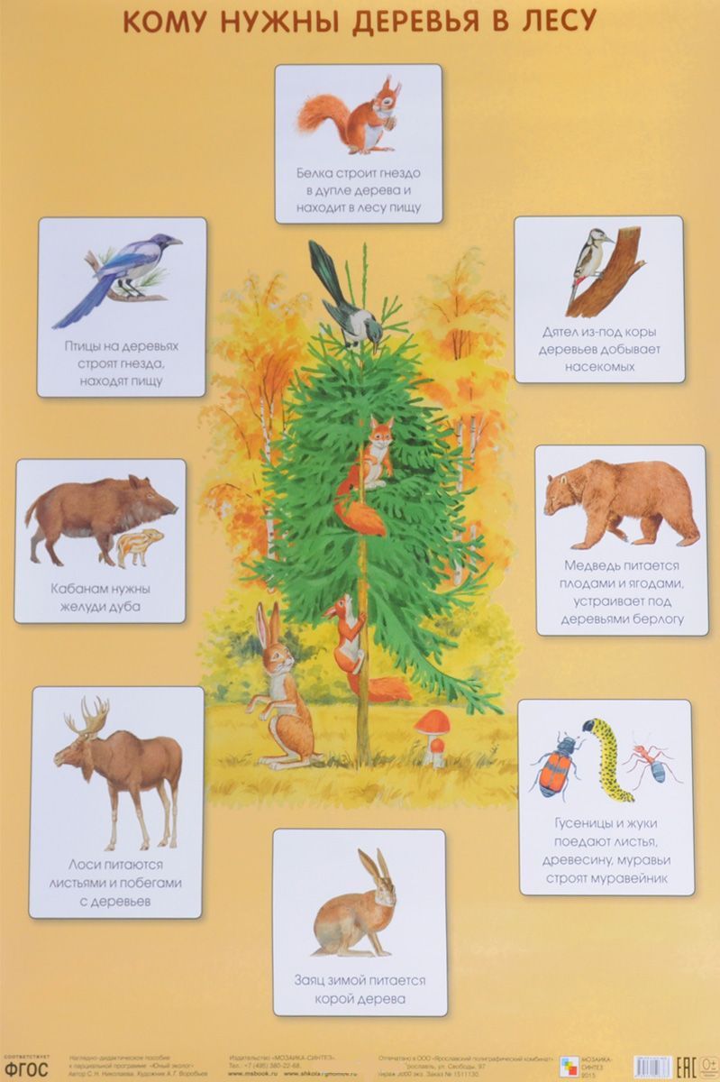 Обложка книги Плакат Кому нужны деревья в лесу. Экологичесое воспитание, Автор Николаева С.Н., издательство Мозаика-Синтез | купить в книжном магазине Рослит
