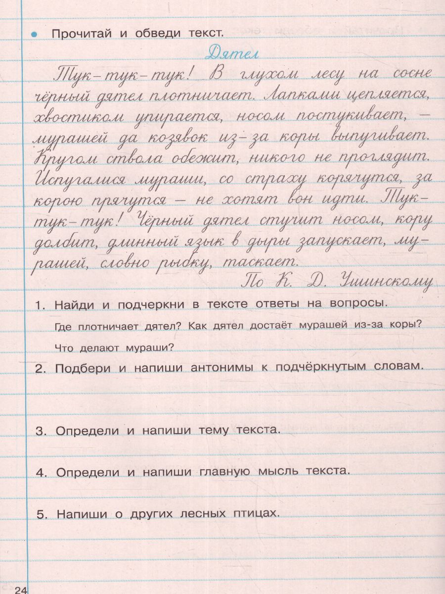 Обложка книги Тренажер по чистописанию и развитию речи 2-4 класс, Автор Узорова О.В., издательство АСТ | купить в книжном магазине Рослит
