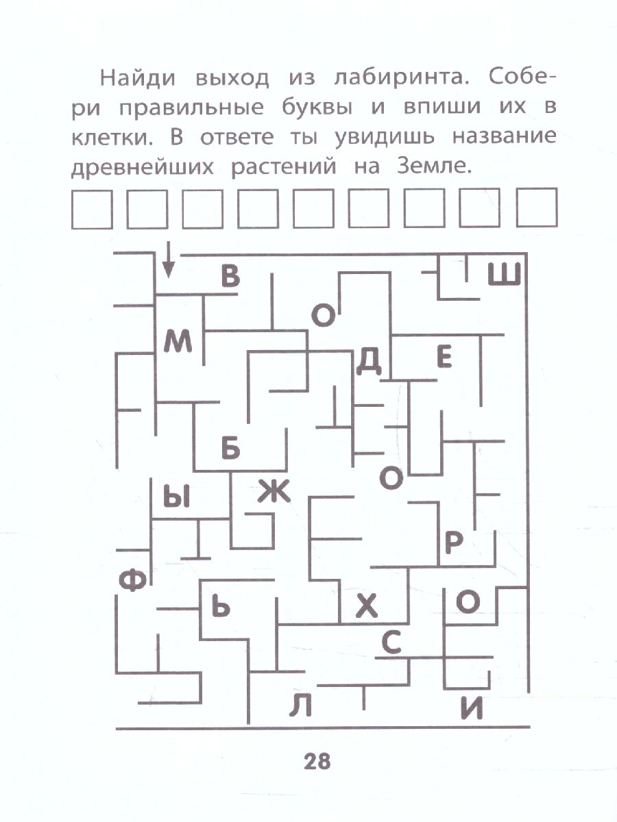 Обложка книги Прятки с буквами: готовимся к школе, Автор Майдельман О., издательство Феникс ТД                                          | купить в книжном магазине Рослит