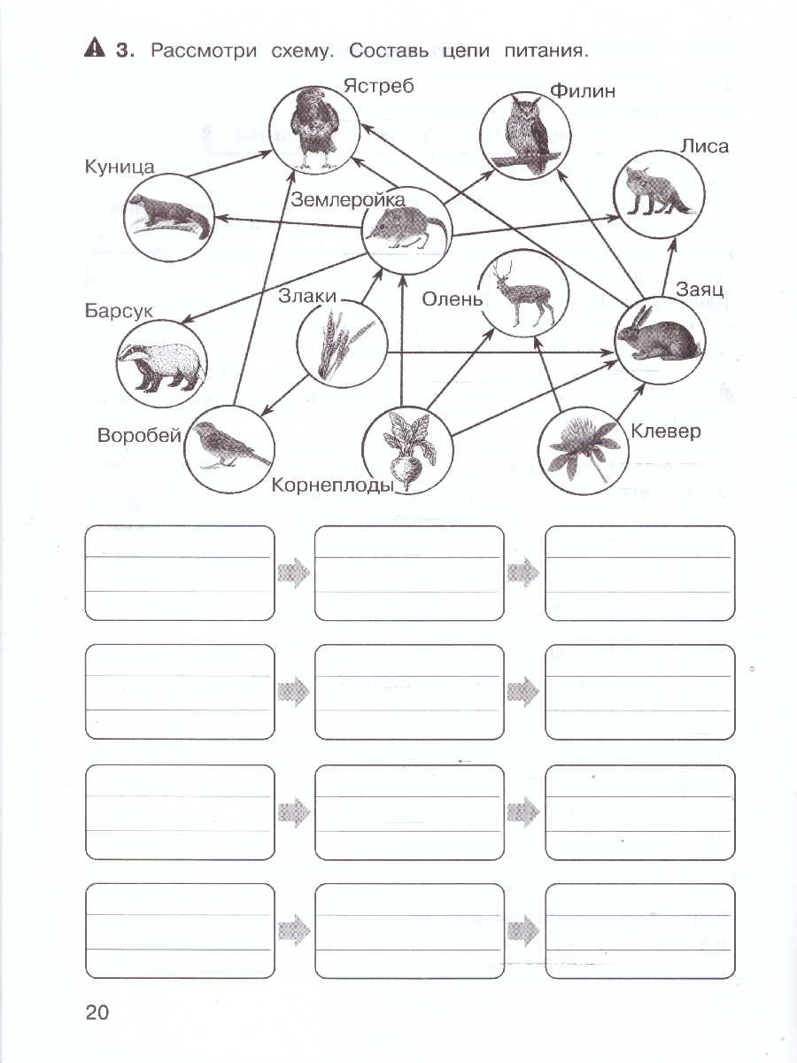 Обложка книги Математика, Русский язык, Окружающий мир 3 класс. Таблицы, схемы, графики, диаграммы. Рабочая тетрадь в 3-х частях. ФГОС, Автор Козина Г.А., издательство Росткнига | купить в книжном магазине Рослит