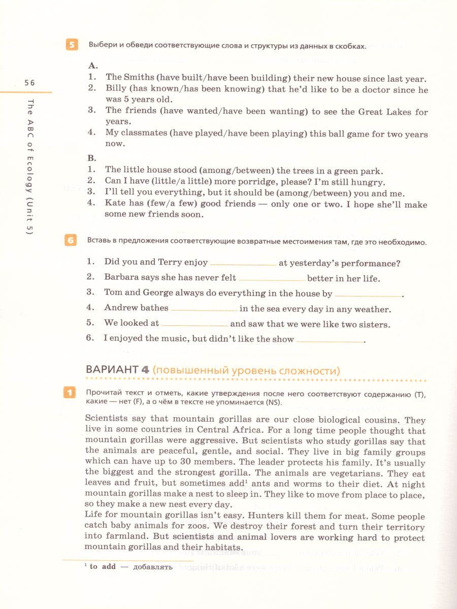 Обложка книги Английский язык "Rainbow English" 7 класс.Контрольные работы. Вертикаль. ФГОС, Автор Афанасьева О.В. Михеева И.В. Баранова К.М., издательство Просвещение | купить в книжном магазине Рослит