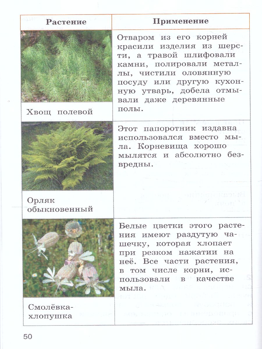 Обложка книги Окружающий мир. Переходим в 4-й класс. ФГОС. УМК "Школа России" (ФП2022), Автор Казанцева И.В. Архипова Ю.И. Глаголева Ю.И., издательство Просвещение | купить в книжном магазине Рослит