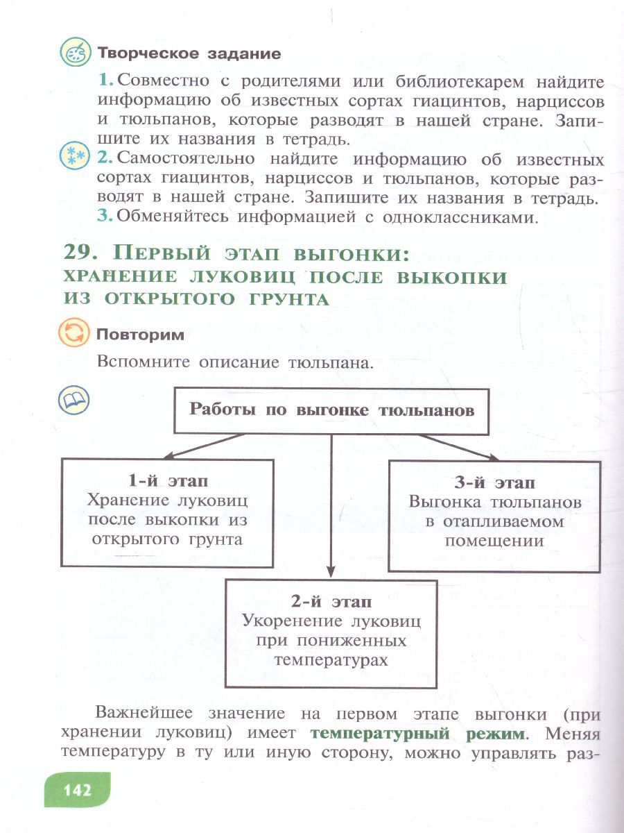 Обложка книги Технология 8 класс. Цветоводство и декоративное садоводство. Учебное пособие (для обучающихся с интелктуальными нарушениями), Автор Карман Н.М. Ковалева Е.А. Зак Г.Г., издательство Просвещение | купить в книжном магазине Рослит