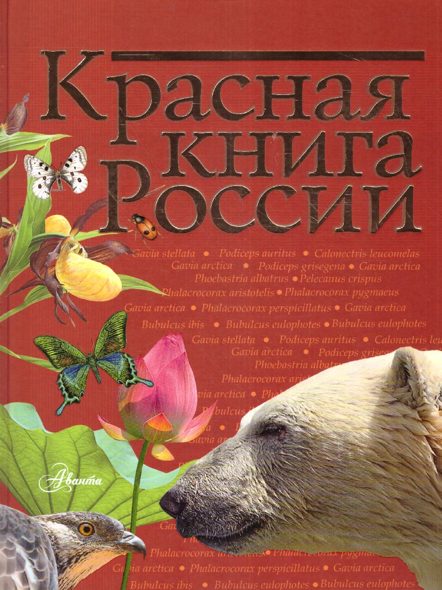Обложка Красная книга России, издательство АСТ | купить в книжном магазине Рослит
