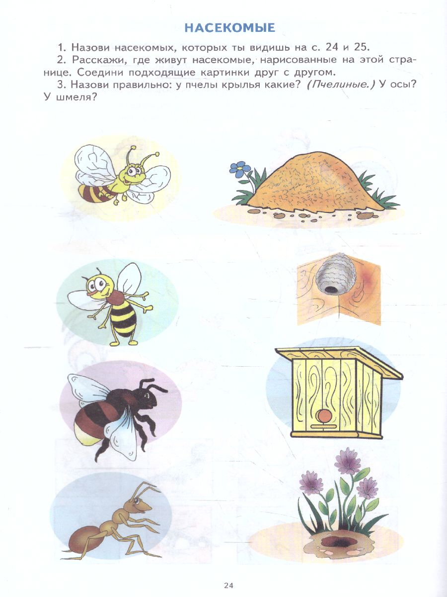 Обложка книги Лексическая тетрадь №3. Звери, птицы, насекомые, рыбы, времена года, Автор Косинова Е.М., издательство Сфера | купить в книжном магазине Рослит
