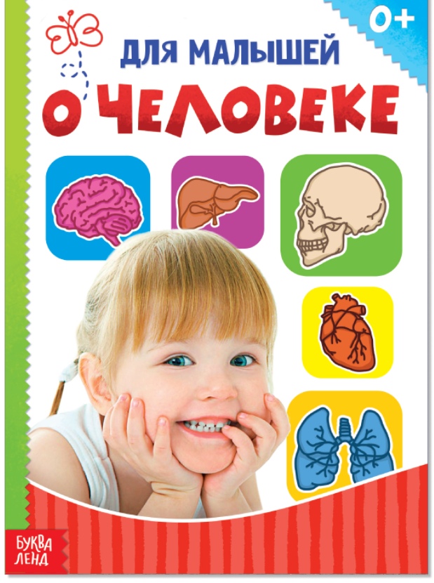 Обложка Книжка картонная "Человек", издательство Буква-Ленд                                         | купить в книжном магазине Рослит
