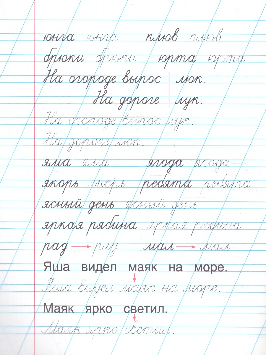 Обложка книги Прописи для дошкольников. Читам и пишем. ФГОС, Автор Жукова М. А., издательство Умка                                               | купить в книжном магазине Рослит