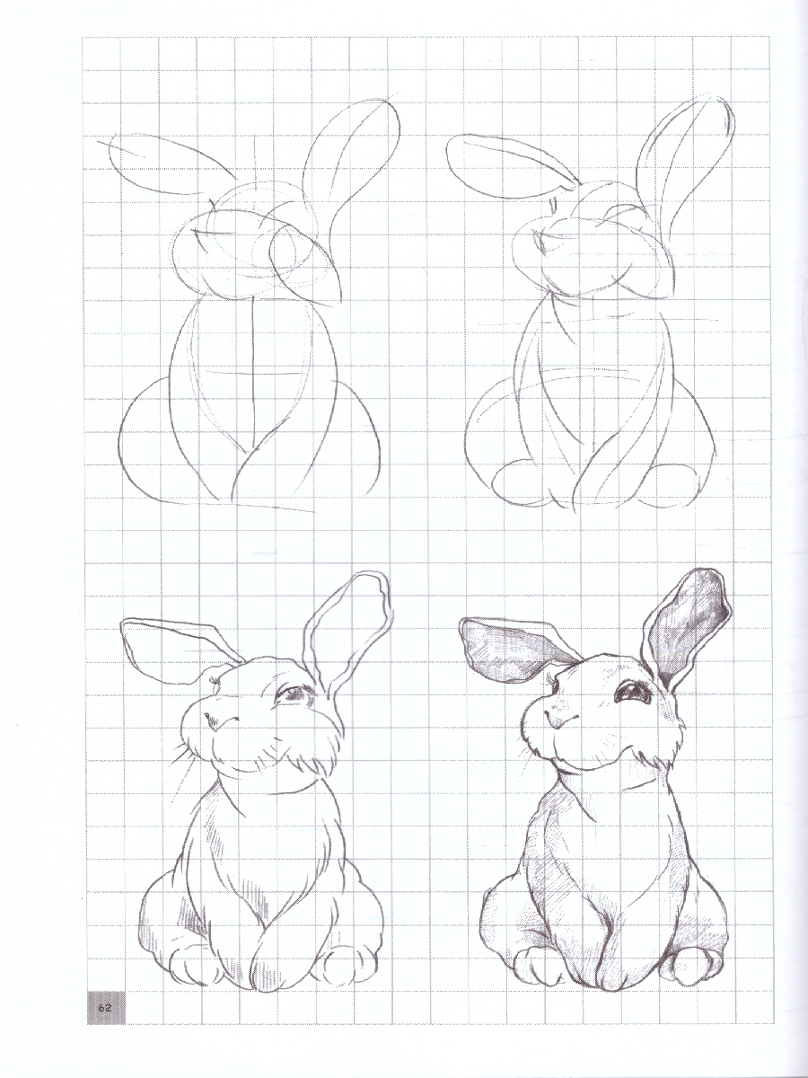 Обложка Творческий курс по рисованию. Животные от А до Я, издательство АСТ | купить в книжном магазине Рослит