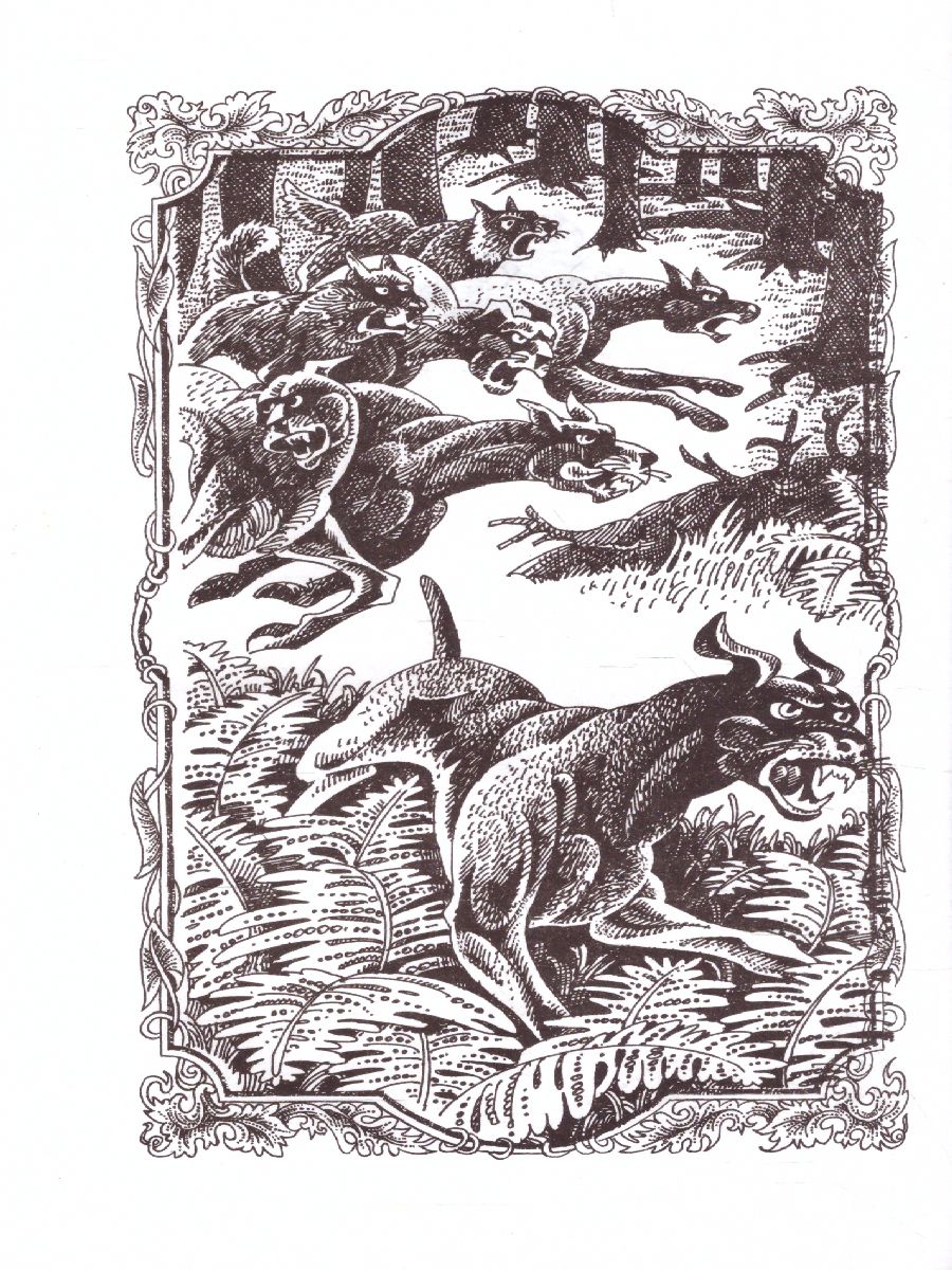 Обложка Коты-воители. Цикл "Воители". Опасная тропа, издательство Просвещение/Союз                                   | купить в книжном магазине Рослит