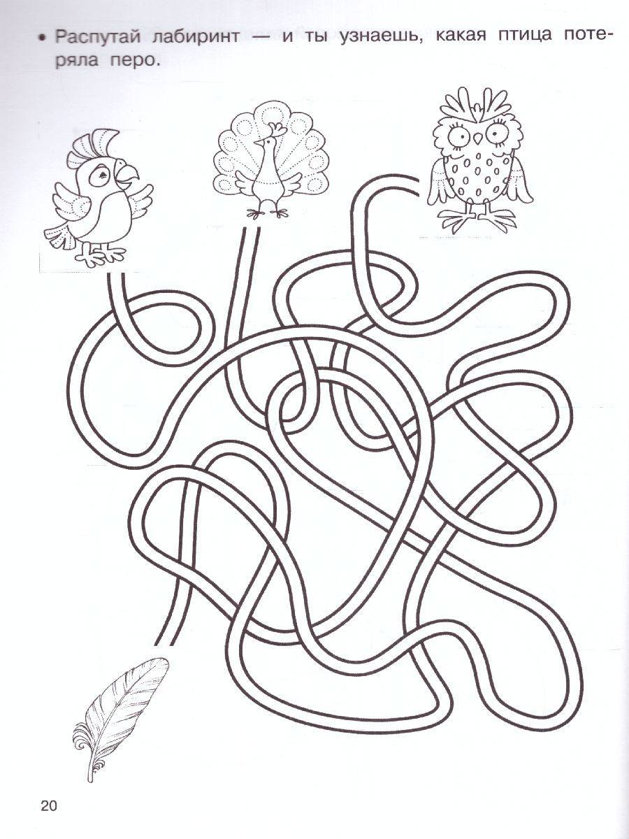 Обложка книги Занимательные лабиринты: развиваем внимание. 555 заданий для дошколят, Автор Дмитриева В. Г., издательство АСТ | купить в книжном магазине Рослит