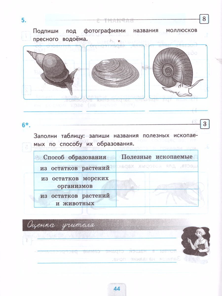 Обложка книги Окружающий мир 4 класс. Проверочные работы. ФГОС, Автор Погорелова Н.Ю., издательство Экзамен | купить в книжном магазине Рослит