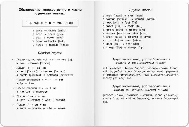 Обложка книги Тетрадь для записи английских слов в начальной школе (Мяу), Автор , издательство Айрис | купить в книжном магазине Рослит