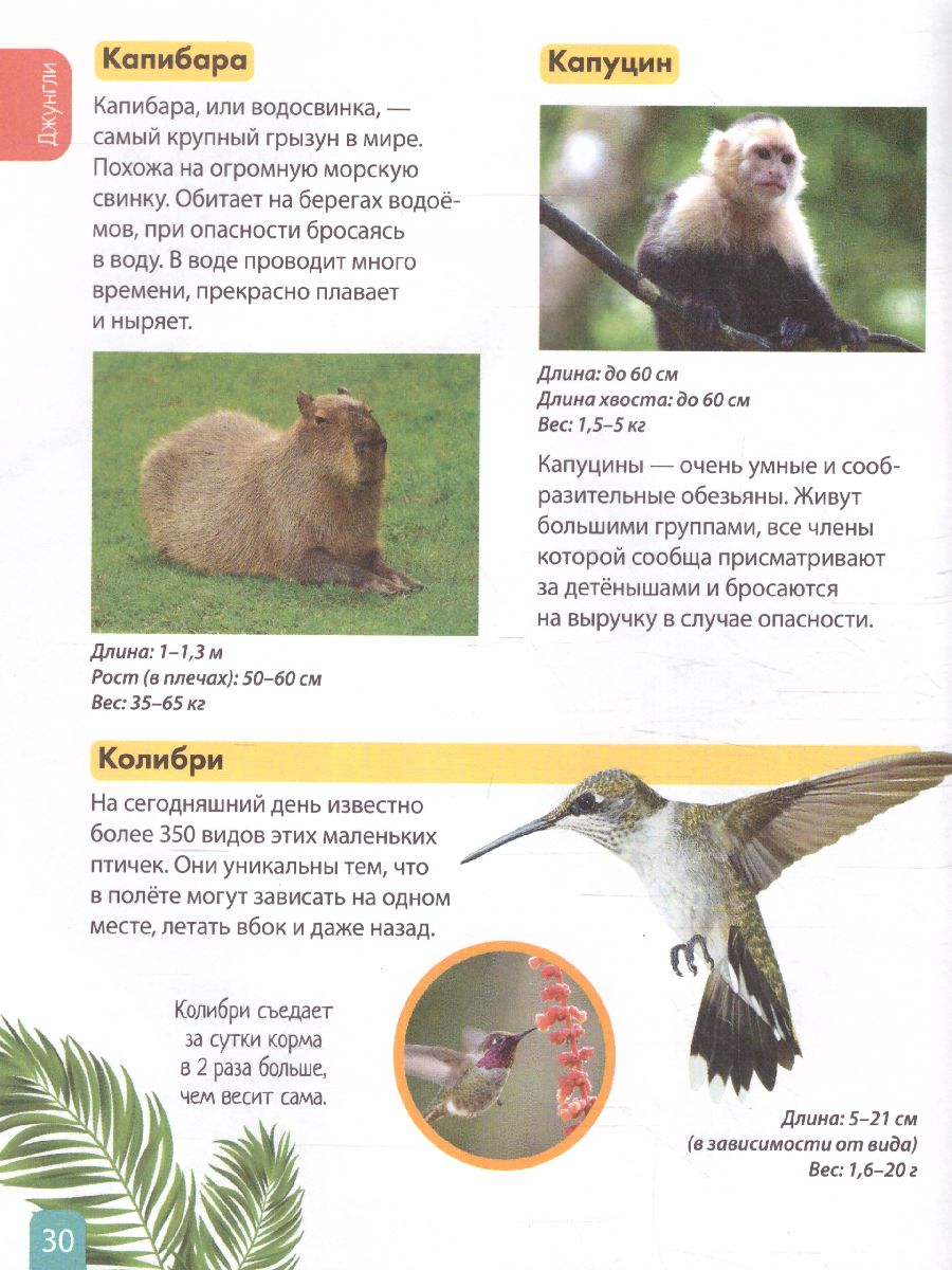 Обложка Детская энциклопедия "Животные", издательство Буква-Ленд                                         | купить в книжном магазине Рослит