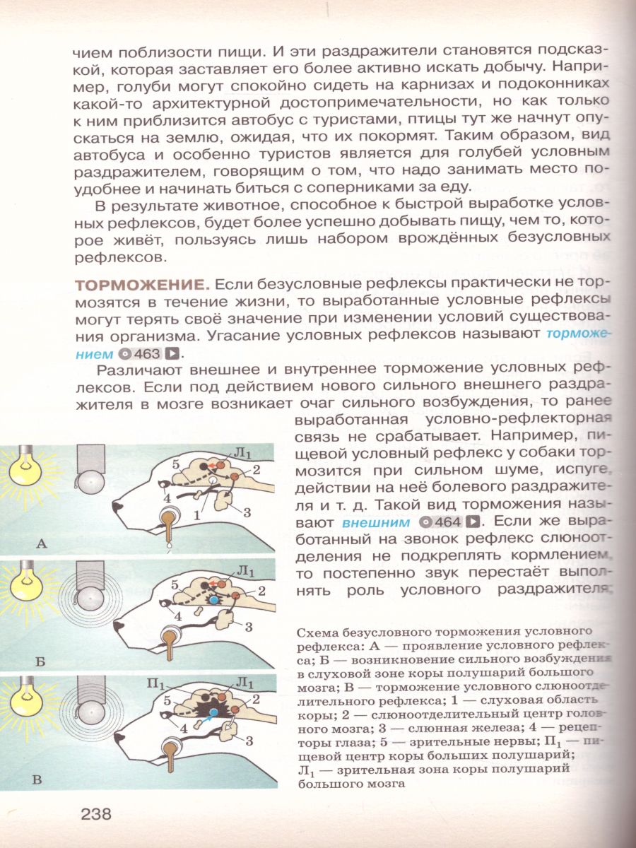 Обложка книги Биология 8 класс. Учебник. ФГОС, Автор Сивоглазов В.И. Сапин М.Р. Каменский А.А., издательство Дрофа | купить в книжном магазине Рослит