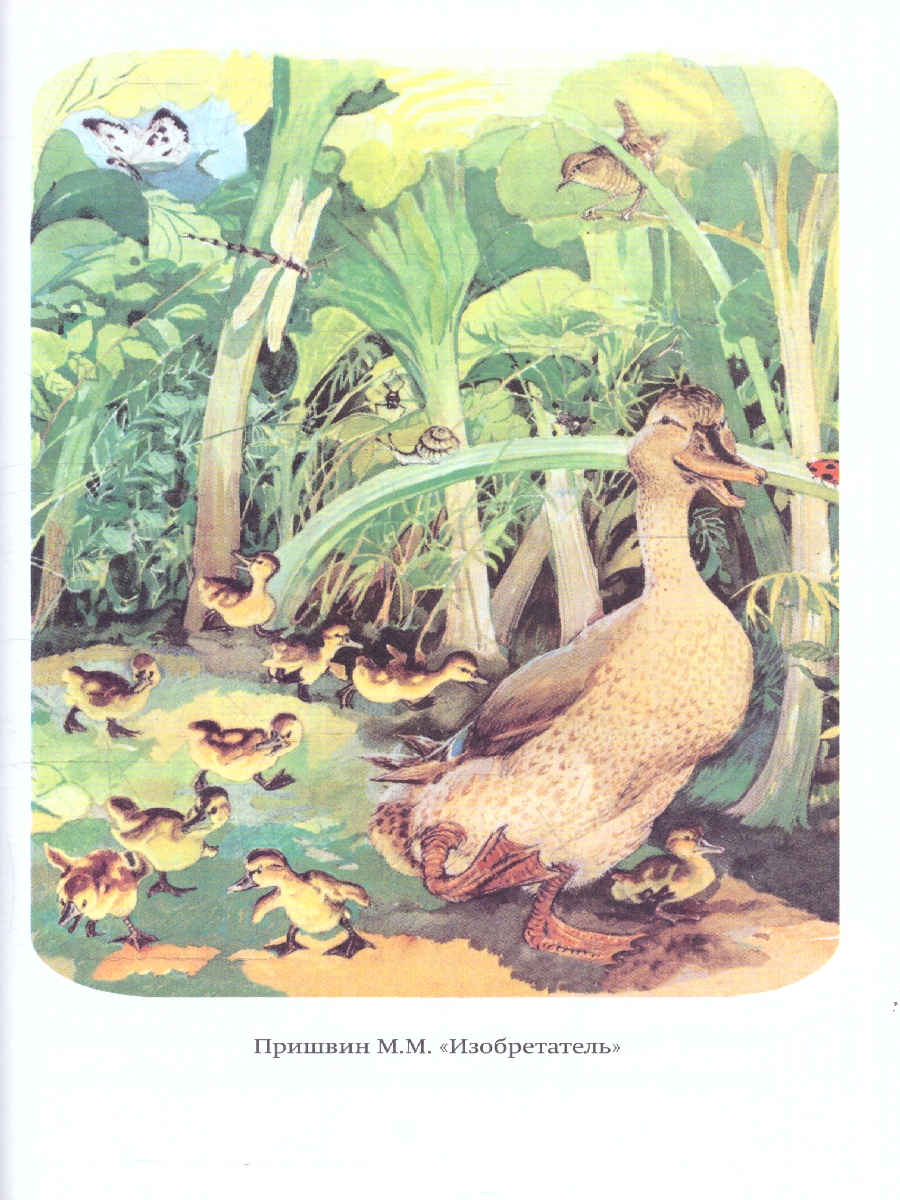 Обложка Внеклассное чтение для 3-го класса. Книги для внеклассного чтения, издательство ЭКСМО | купить в книжном магазине Рослит