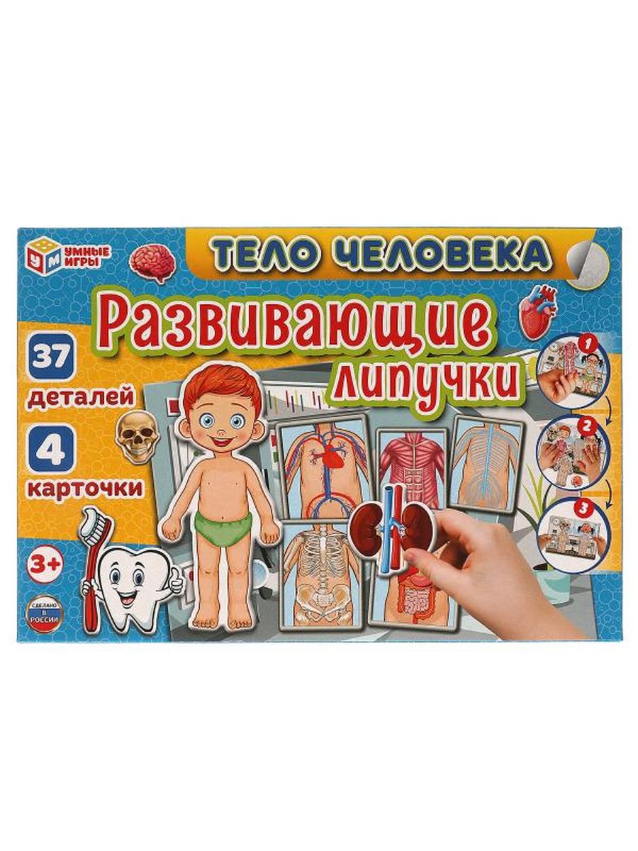 Обложка Играь развивающая.  Тело человека., издательство Умные игры                                         | купить в книжном магазине Рослит