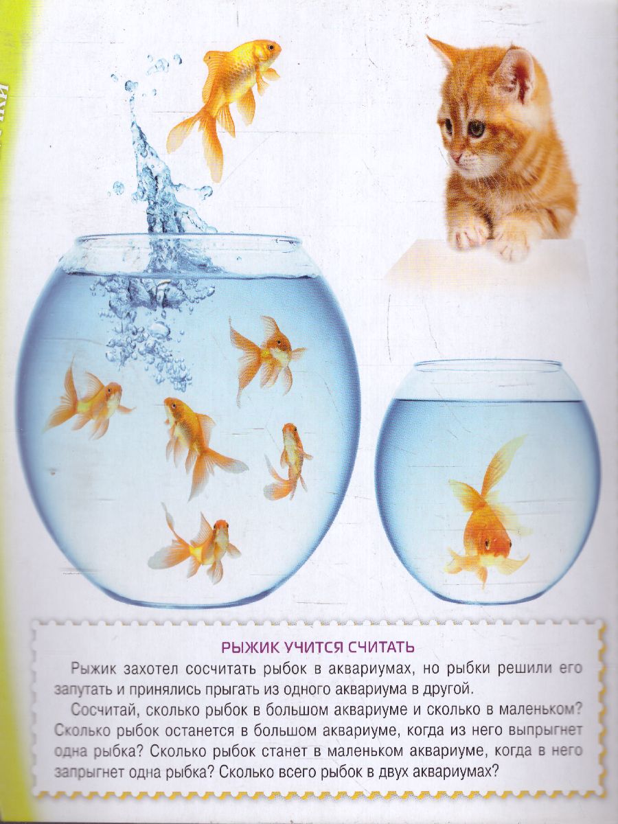 Обложка Счёт, издательство Олма | купить в книжном магазине Рослит