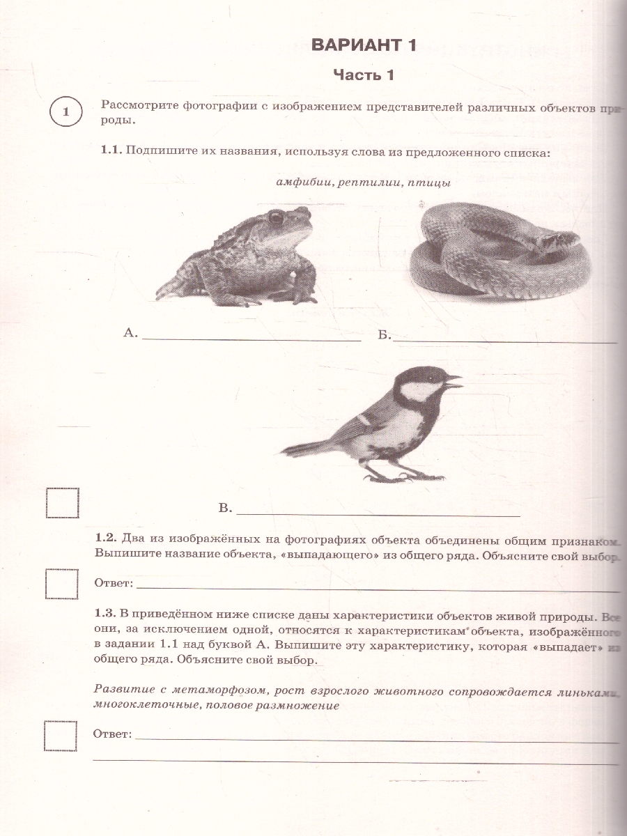 Обложка книги ВПР Русский язык. Математика. История. Биология 5 кл. Большой сборник тренировочных вариантов проверочных работ, Автор Степанова Л. С.; Воробьёв В. В.; Артасов И. А.; Мельникова О. Н.; Маталин А. В., издательство АСТ | купить в книжном магазине Рослит