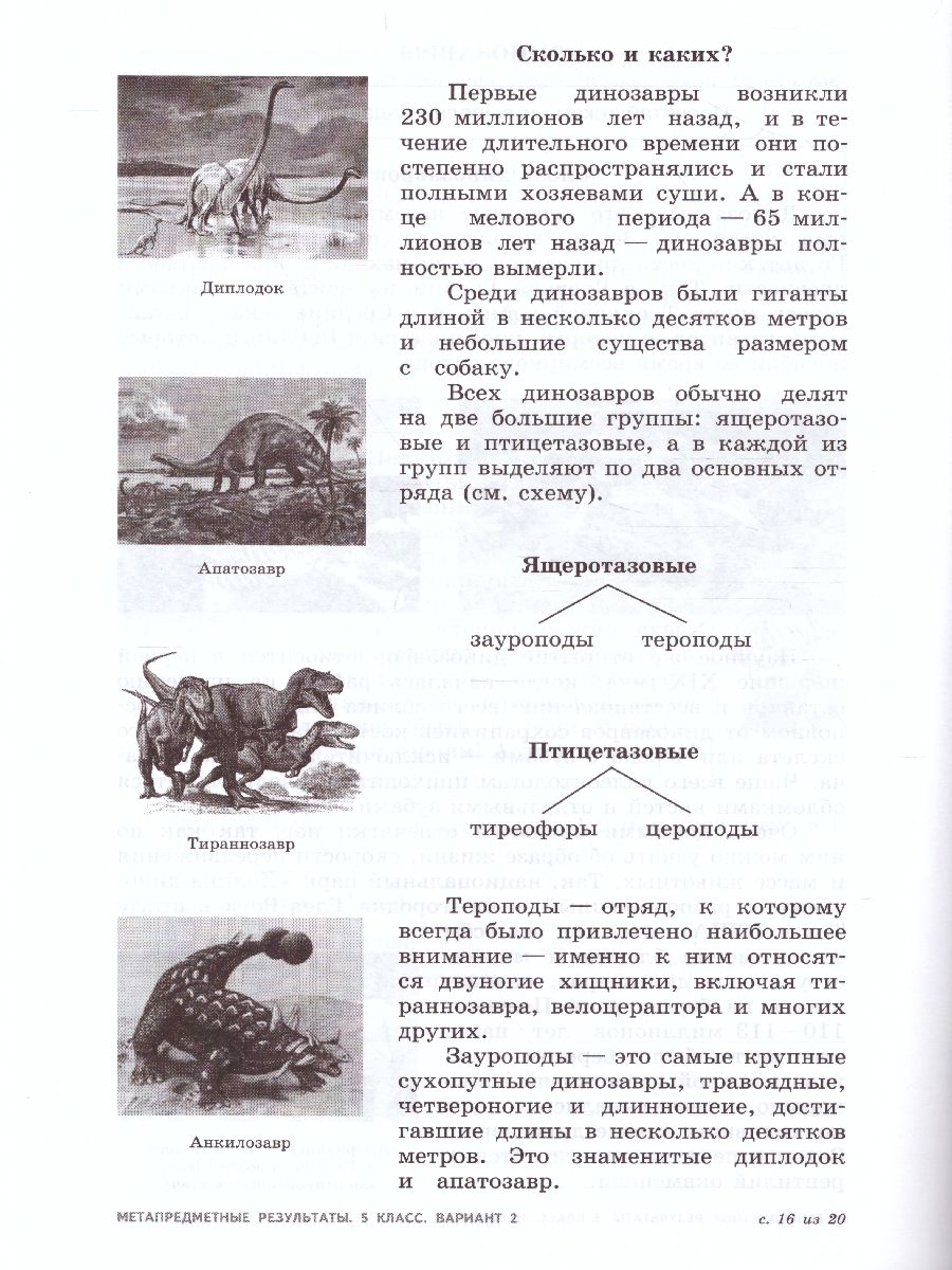 картинка Метапредметные результаты. Стандартизированные материалы для оценки читательской грамотности. 5 класс. Варианты 1-4 от магазина Рослит