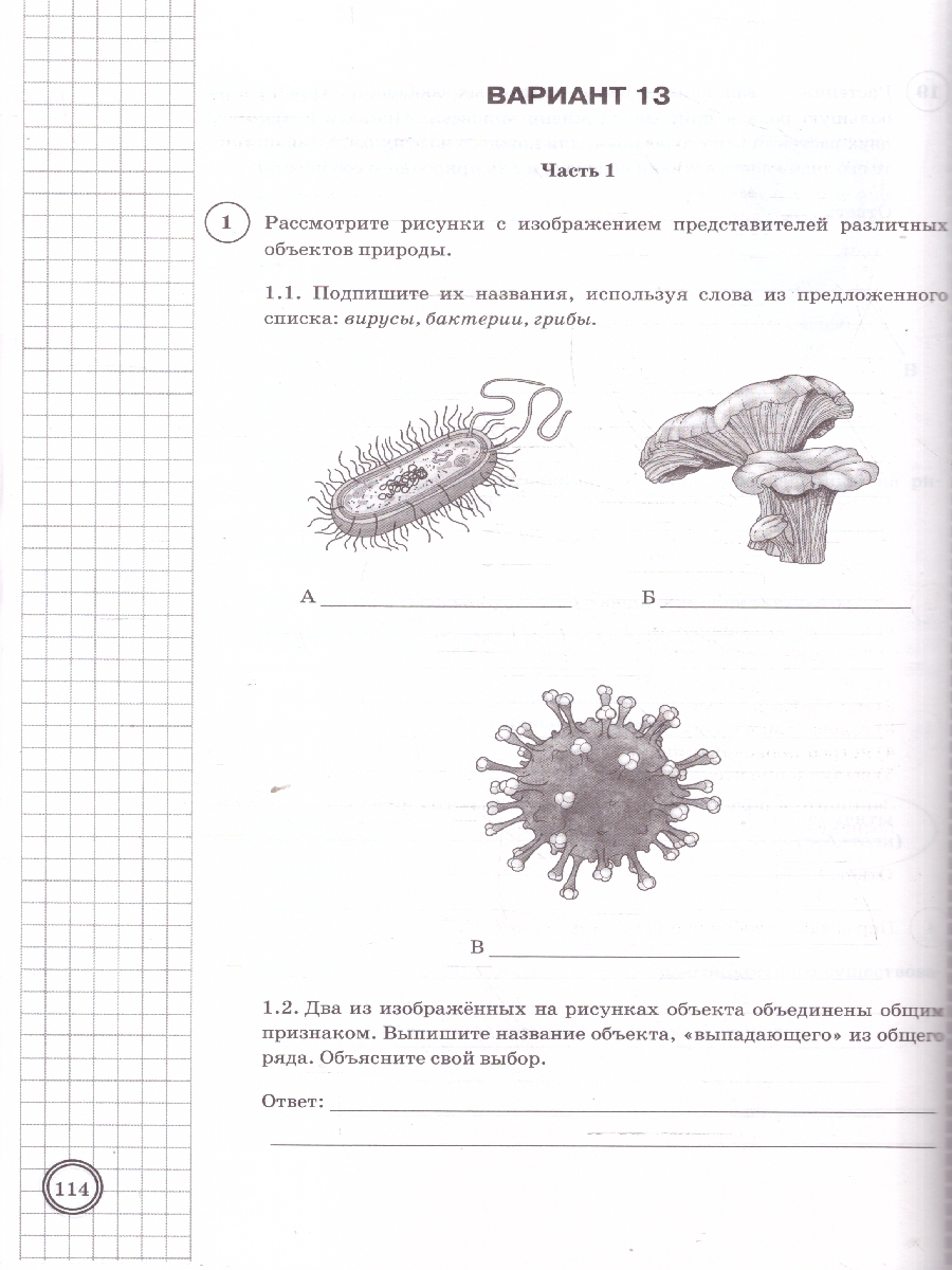 Обложка книги ВПР Биология 5 класс. Типовые задания. 25 вариантов. ФИОКО СТАТГРАД. ФГОС НОВЫЙ, Автор Банникова Н. А.;Богданов Н. А., издательство Экзамен | купить в книжном магазине Рослит