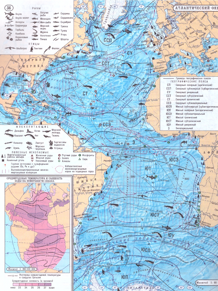 Обложка книги Атлас + Контурные карты. География материков и океанов 7 класс. НОВЫЕ ГРАНИЦЫ, Автор , издательство КАРТОГРАФИЯ. НОВОСИБИРСК | купить в книжном магазине Рослит