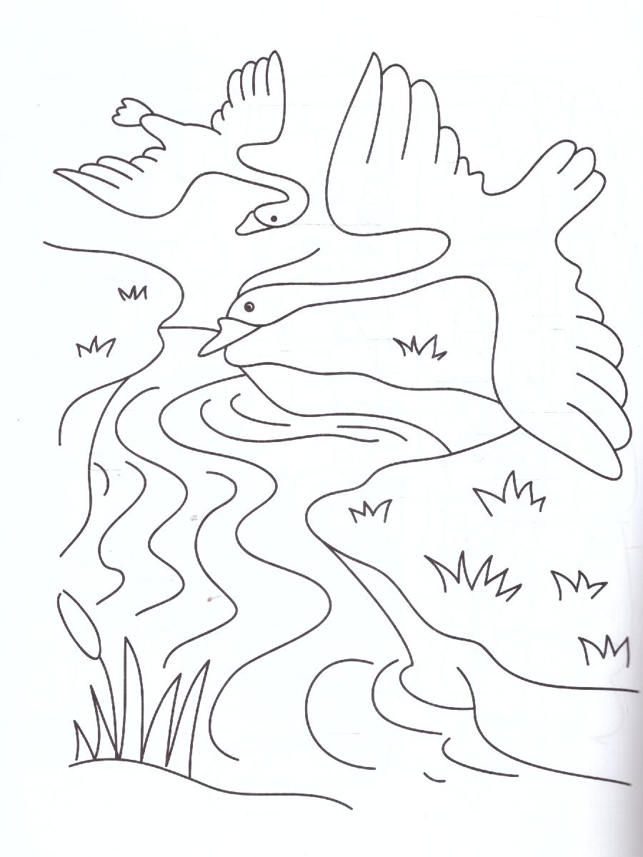 Обложка книги Сказки-раскраски. Гуси-лебеди.  4-5 лет, Автор Печерская А.Н., издательство Мозаичный парк                                     | купить в книжном магазине Рослит