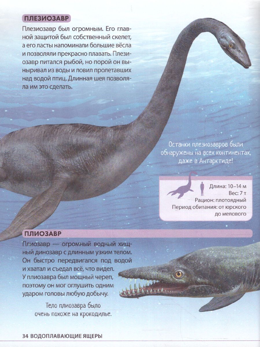 Обложка Детская энциклопедия "Удивительные динозавры", издательство Буква-Ленд                                         | купить в книжном магазине Рослит