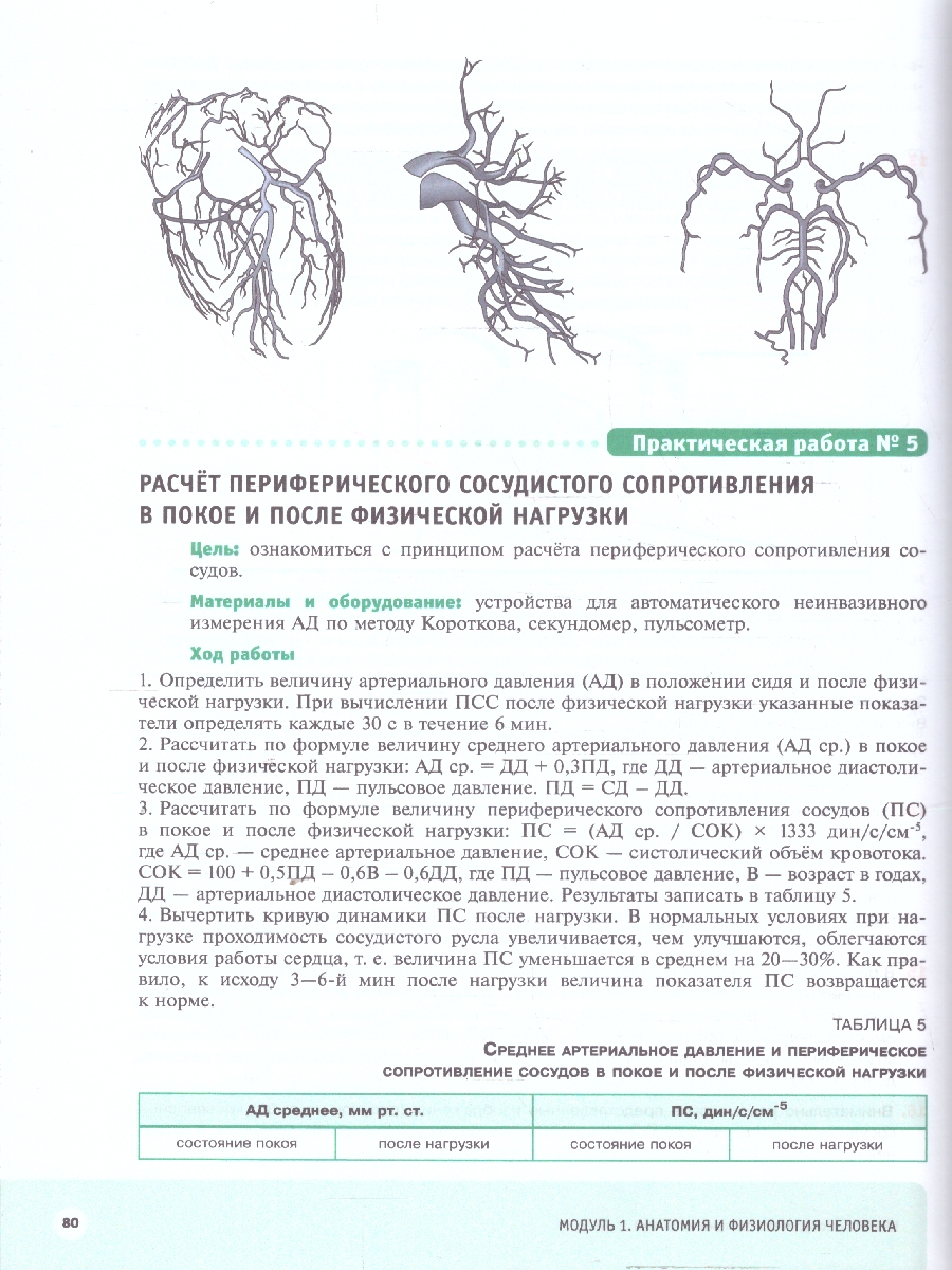 Обложка книги Шаг в медицину. Анатомия и физиология человека. Здоровье человека. Учебное пособие, Автор Арестова И. Ю. Бирюкова Н. В., издательство Просвещение | купить в книжном магазине Рослит
