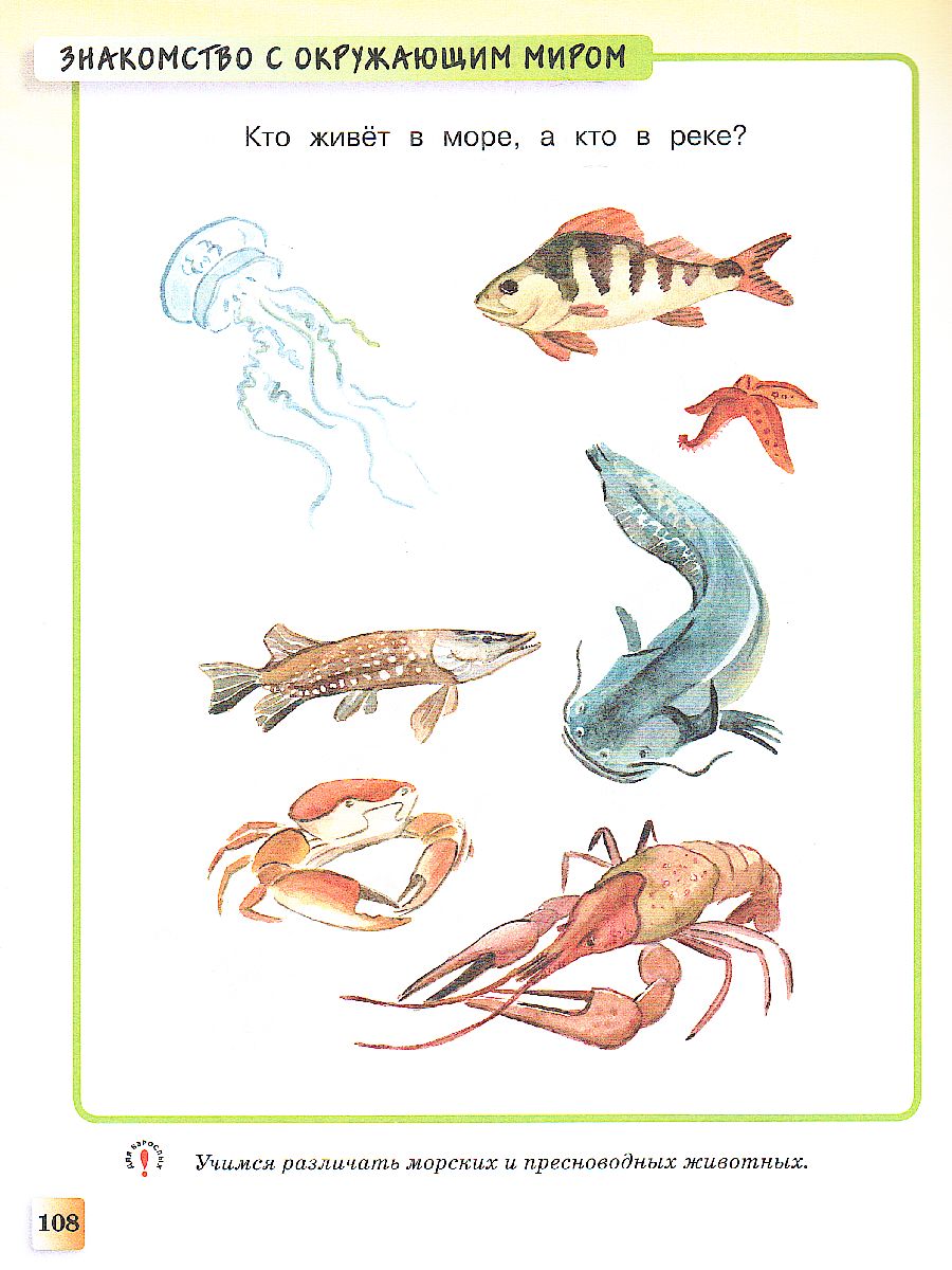 Обложка Развивающие тесты 3-4 года, издательство Махаон | купить в книжном магазине Рослит