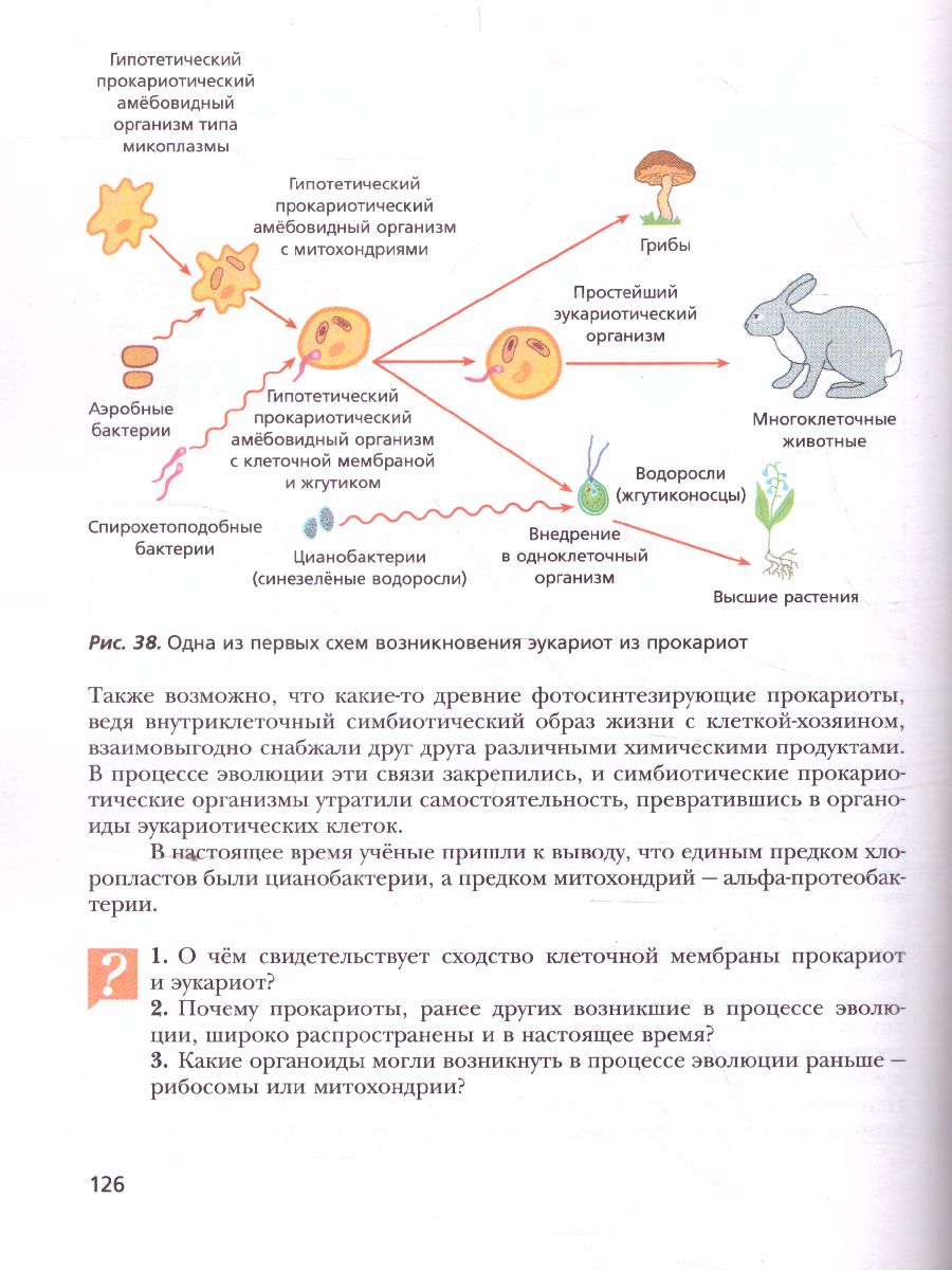 Обложка книги Биология 11 класс. Базовый уровень. Учебник. ФГОС, Автор Пономарева И.Н., издательство Просвещение | купить в книжном магазине Рослит