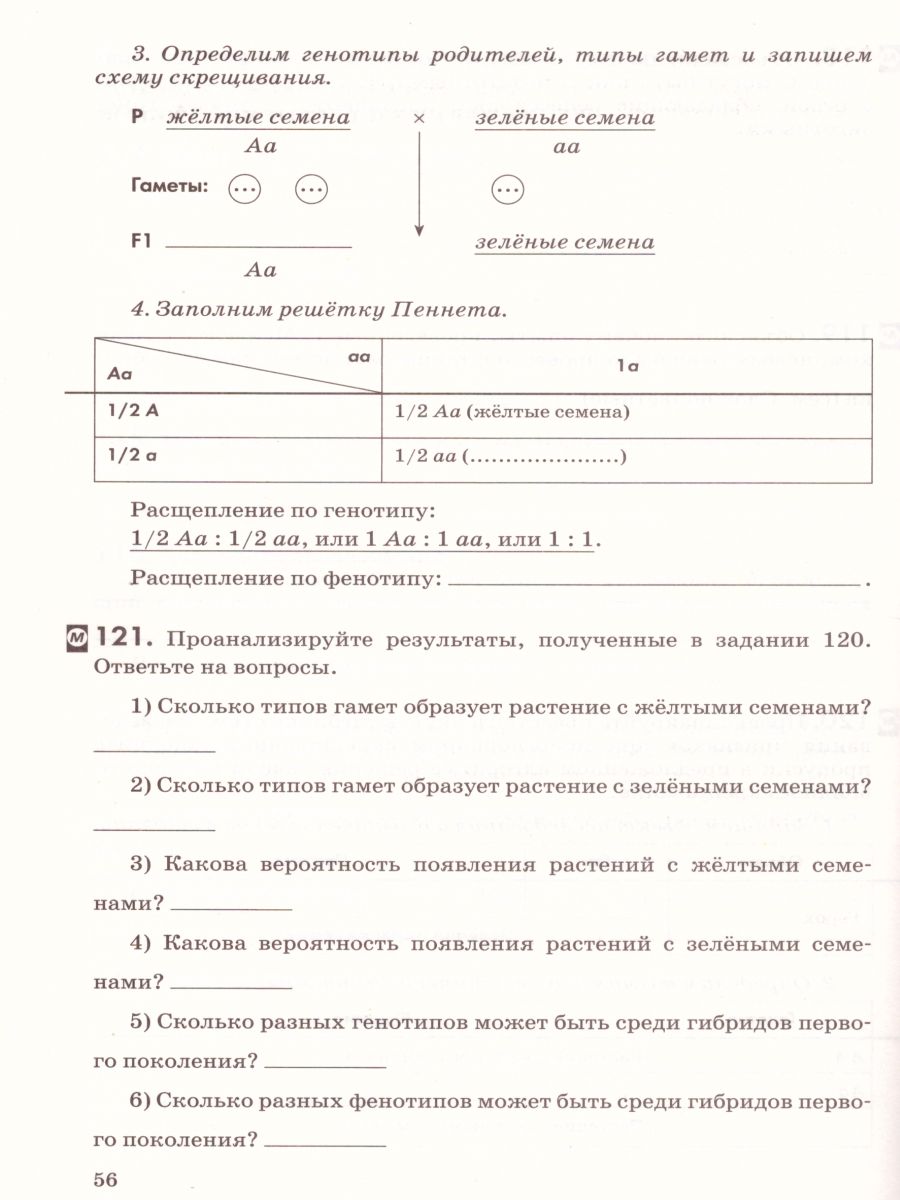 Обложка книги Введение в общую Биологию 9 класс. Рабочая тетрадь. Вертикаль. ФГОС, Автор Пасечник В.В. Швецов Г.Г., издательство Просвещение | купить в книжном магазине Рослит