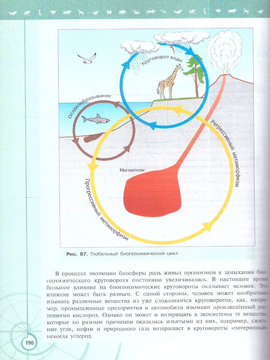 Обложка книги Пасечник (Линия жизни) Биология 11 кл. Базовый уровень. Учебник(ФП2022) (Просв.), Автор Пасечник В.В. Каменский А.А. Рубцов А.М., издательство Просвещение | купить в книжном магазине Рослит