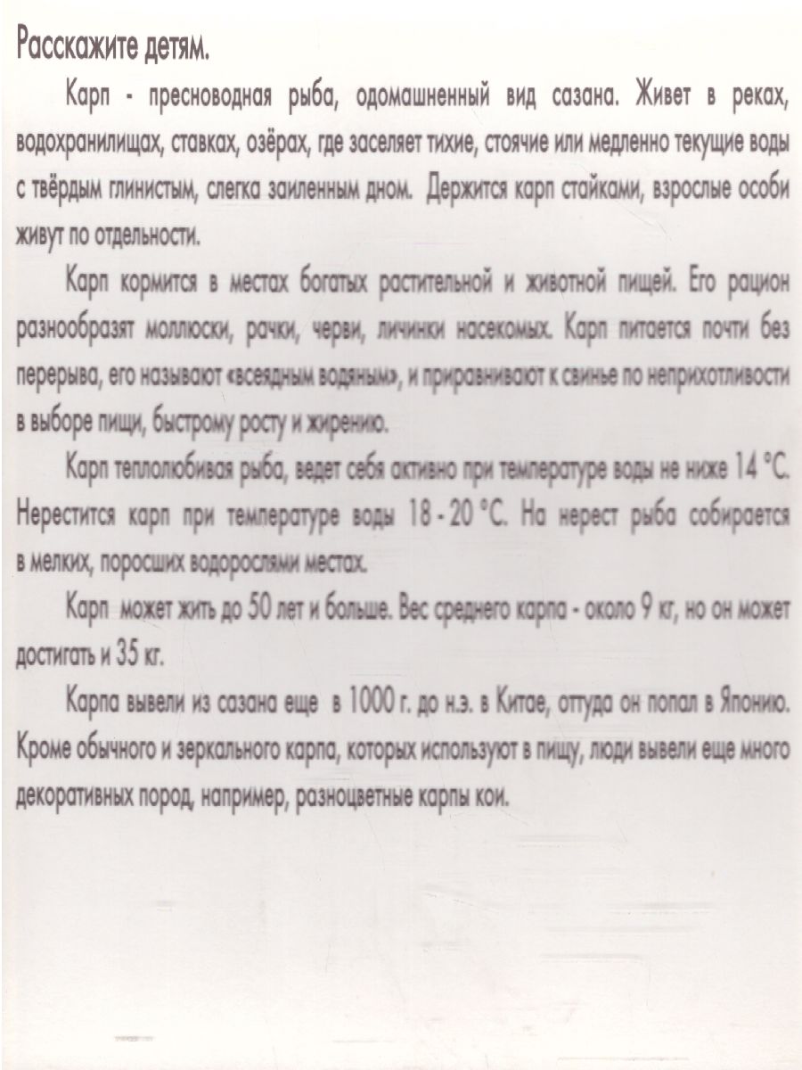 Обложка книги Дидактические карточки "Речные рыбы", Автор , издательство Маленький гений-Пресс | купить в книжном магазине Рослит