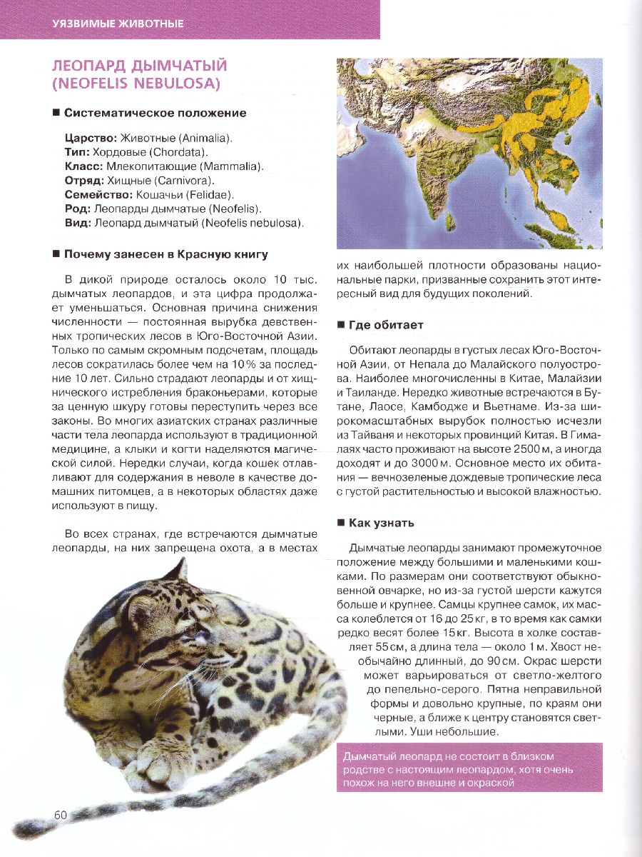 Обложка Красная книга. Животные мира / Красная книга для больших и маленьких, издательство ЭКСМО | купить в книжном магазине Рослит