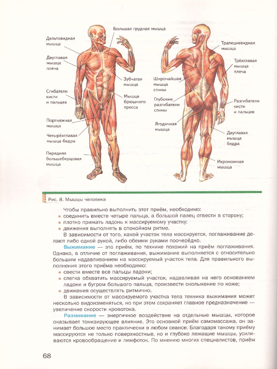 картинка Физическая культура 10-11 классы. Учебник. ФГОС от магазина Рослит
