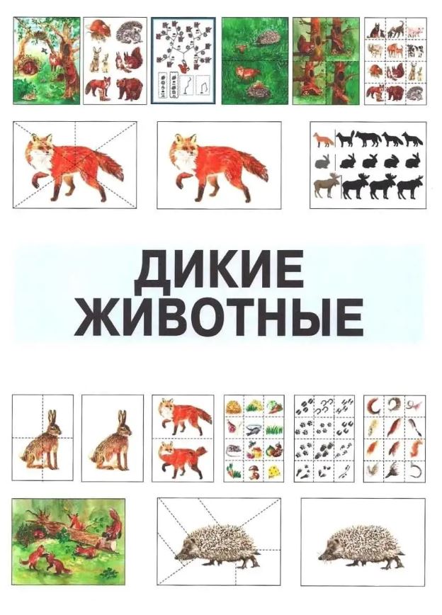 Обложка книги Развитие мыслительной деятельности у детей дошкольного возраста с ОВЗ (4-7 лет). Рабочая тетрадь № 4, Автор Спирева Е.Н., издательство Владос | купить в книжном магазине Рослит