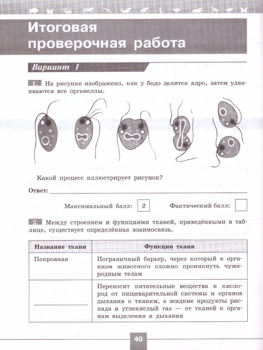 Обложка книги Биология 7 класс. Проверочные работы в формате ВПР., Автор Суматохин С.В. Калинова Г.С., издательство Просвещение/Союз                                   | купить в книжном магазине Рослит